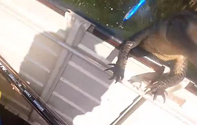 Ảnh cắt từ clip.