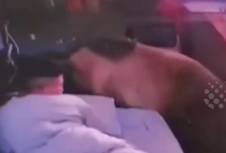 Ảnh cắt từ clip.