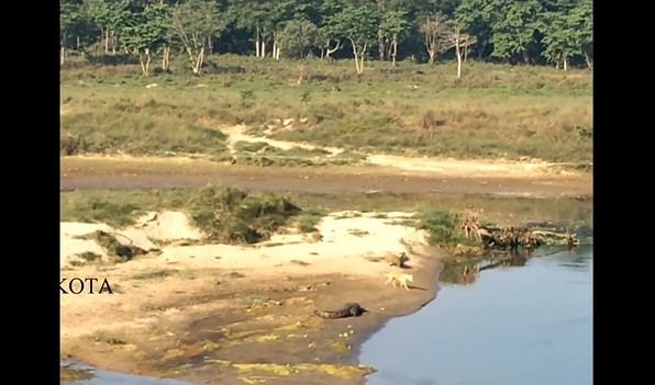 Ảnh cắt từ clip.