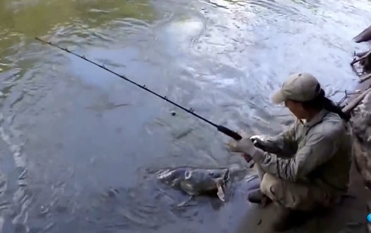 Ảnh cắt từ clip.