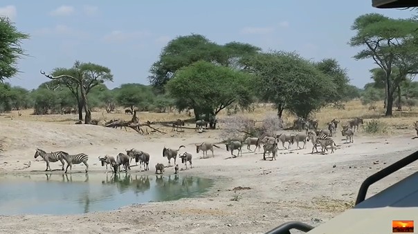 Ảnh cắt từ clip.