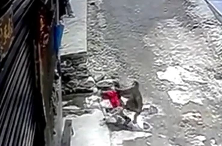 Ảnh cắt từ clip.