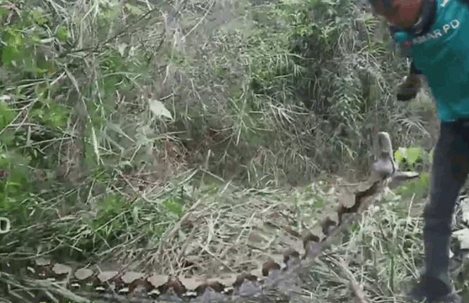 Ảnh cắt từ clip.