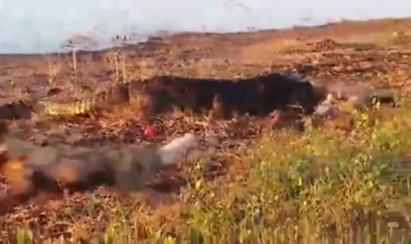 Ảnh cắt từ clip.