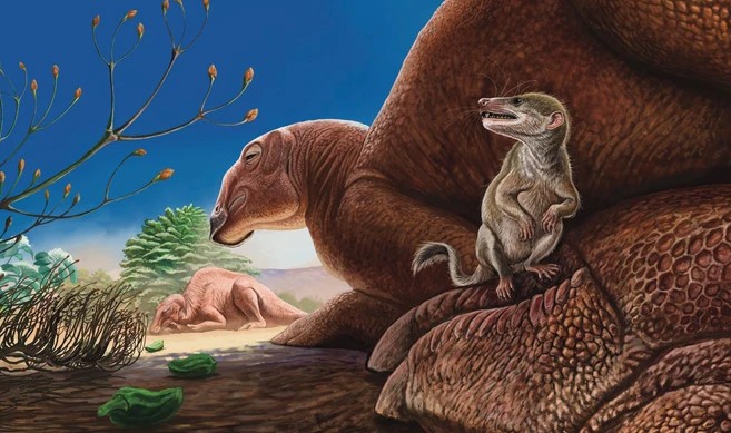 Ravjaa ishiii quái dị và bé nhỏ được mô tả đang ngồi trên chân của loài khủng long hadrosaurid Gobihadros khổng lồ ở sa mạc Gobi - Ảnh: Kohei Futaka.