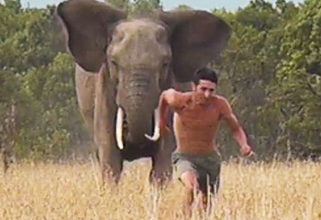 Ảnh cắt từ clip.