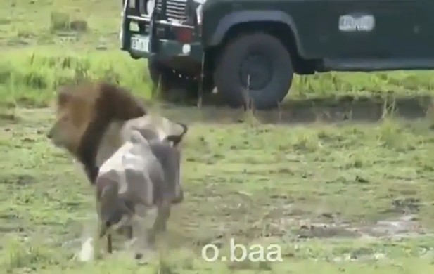 Ảnh cắt từ clip.