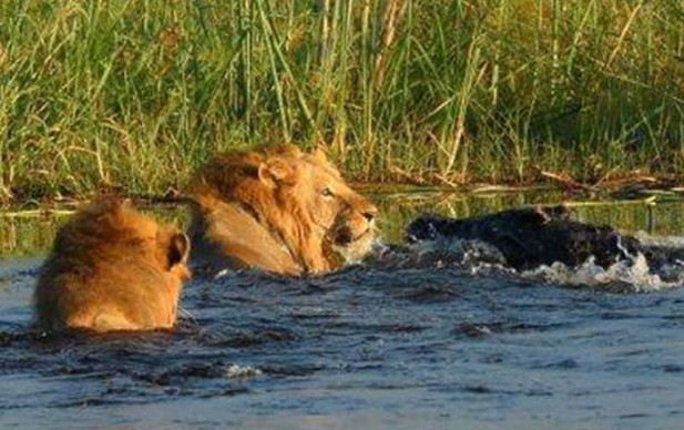 Ảnh cắt từ clip.