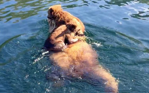 Ảnh cắt tử clip.