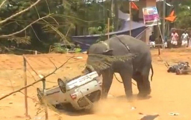 Ảnh cắt tử clip.