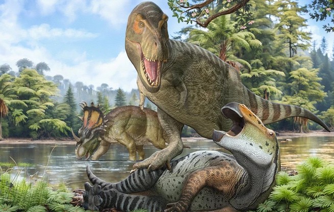 Khủng long bạo chúa T-rex đã tăng trưởng vượt trội nhờ một giai đoạn hành tinh trở nên khắc nghiệt vào giữa kỷ Phấn Trắng - Ảnh đồ họa: Pedro Salas and Sergey Krasovskiy