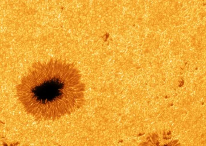 Ảnh: R. Kamlah et al. 2025