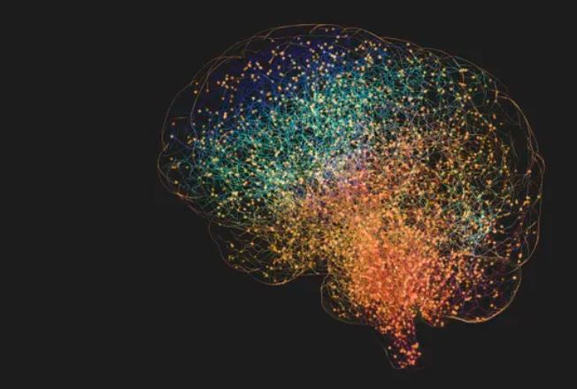 "Sự hình thành tế bào thần kinh", hay sự hình thành các tế bào thần kinh mới, được biết là diễn ra trước khi sinh. Nhưng một số bằng chứng cho thấy rằng nó có thể tiếp tục trong suốt cuộc đời con người. Ảnh: Getty.