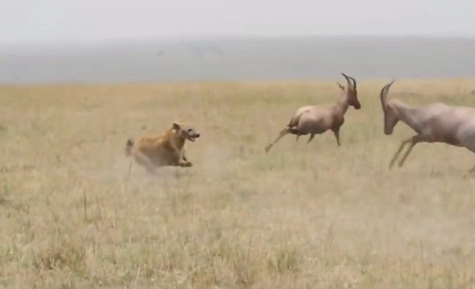 Ảnh cắt từ clip.