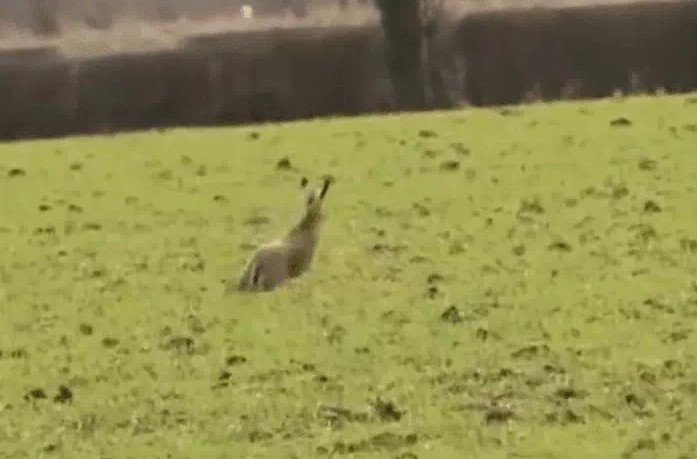 Ảnh cắt từ clip.