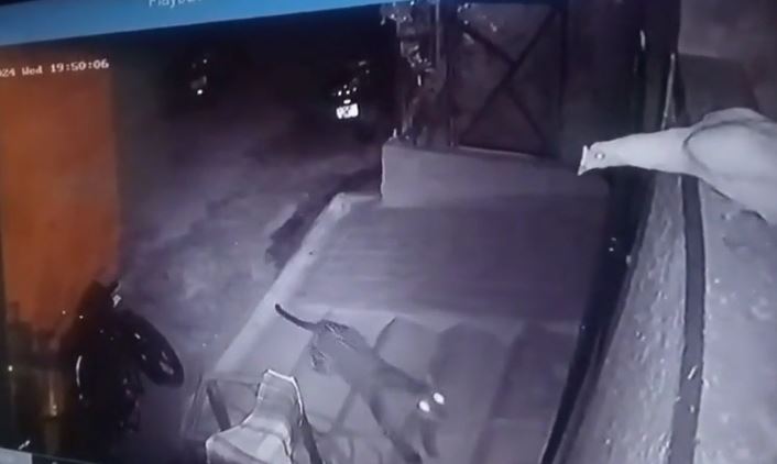 Ảnh cắt từ clip.