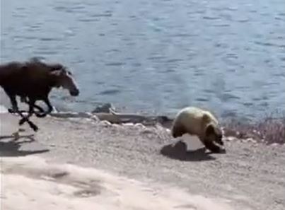 Ảnh cắt từ clip.