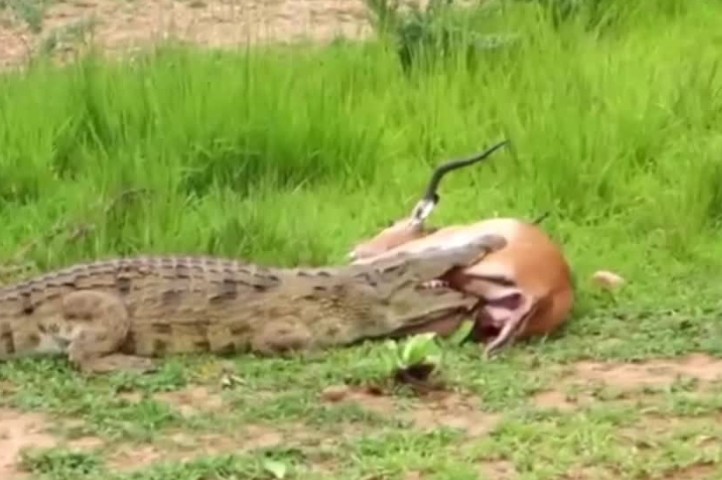 Ảnh cắt từ clip