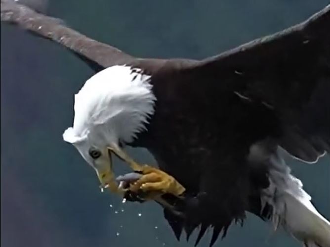 Ảnh cắt từ clip