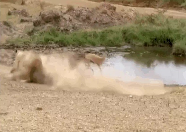 Ảnh cắt từ clip