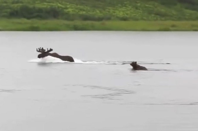 Ảnh cắt từ clip.