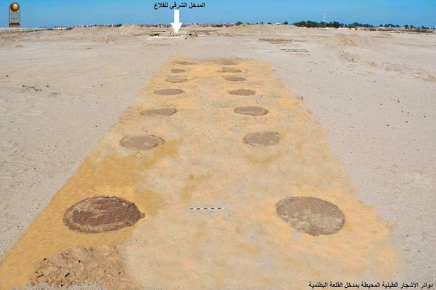 Con đường lát đá vôi cổ đại giữa sa mạc Sinai với tàn tích pháo đài ở phía xa - Ảnh: BỘ DU LỊCH VÀ CỔ VẬT AI CẬP