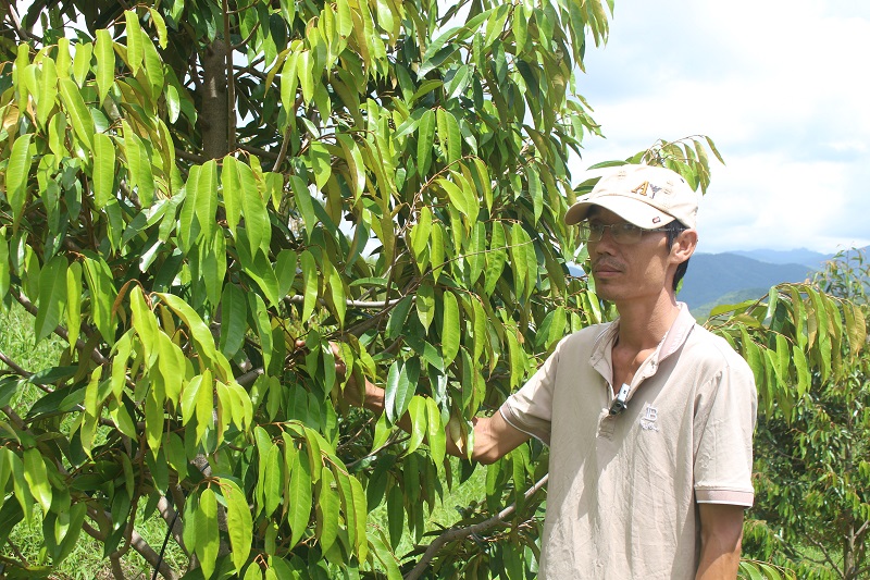 Những con người tâm huyết vì thương hiệu Sầu riêng Đam Rông.