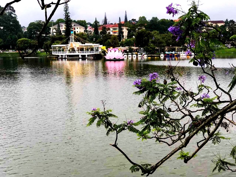 Đà Lạt là nơi neo trú tâm hồn.