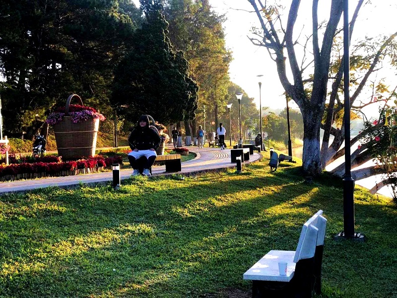 Sướm mai Đà Lạt.