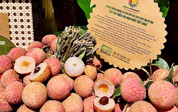 Vải tổ Thanh Hà hiện được bán độc quyền tại hệ thống siêu thị cao cấp Mena Gourmet. 