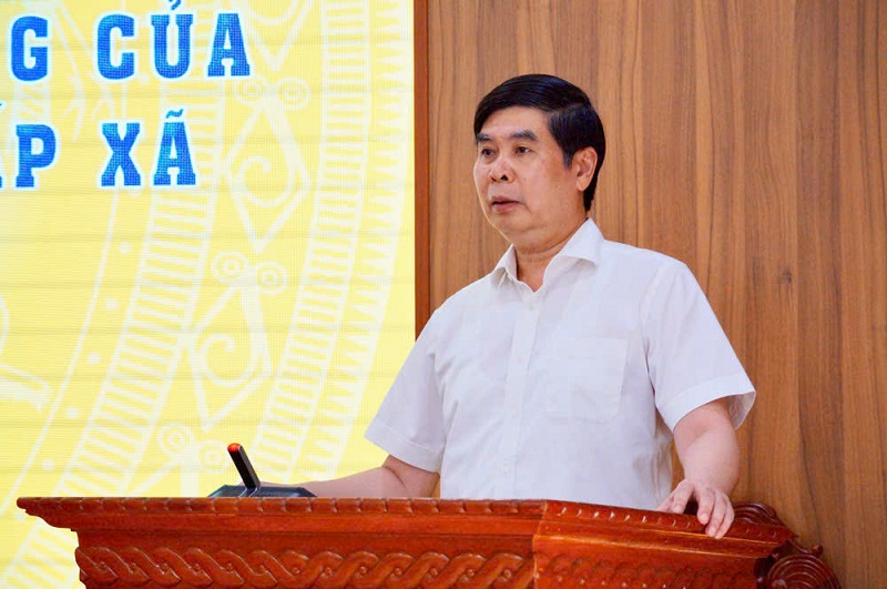 Phó Chủ tịch UBND tỉnh Gia Lai Lâm Hải Giang phát biểu chỉ đạo. 