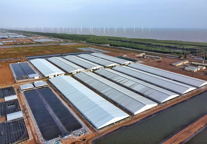 Khu nuôi tôm công nghệ cao tại Bạc Liêu nay là Cà Mau. (ảnh: Hữu Thọ)