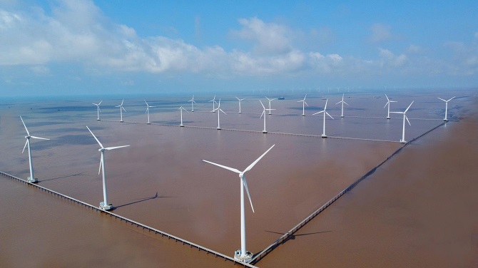 Có thể nói năng lượng tái tạo ở tỉnh Cà Mau đang trở thành trụ cột mới trong nền kinh tế năng lượng sạch với lợi thế thổ nhưỡng