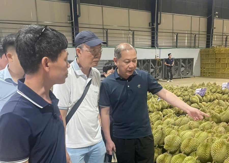 Đoàn công tác của Tổng cục Hải quan Trung Quốc khảo sát thực tế sầu riêng Lâm Đồng.