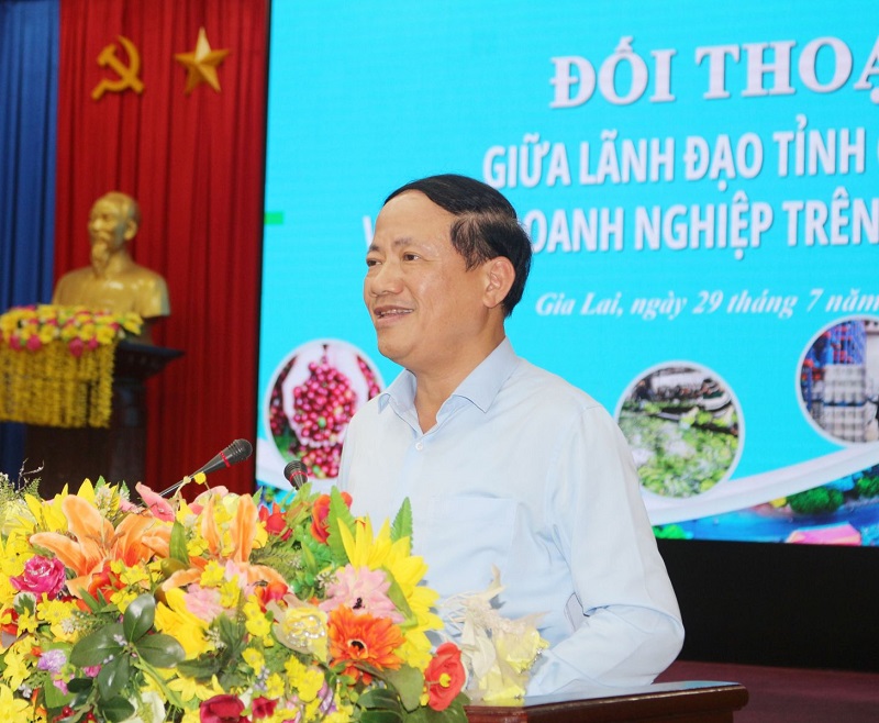 Chủ tịch UBND tỉnh Gia Lai Phạm Anh Tuấn kết luận hội nghị.