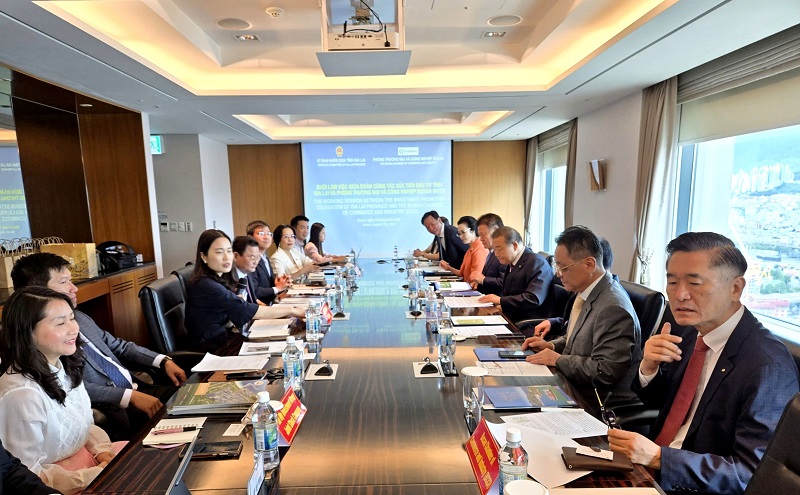 đoàn xúc tiến đầu tư tỉnh Gia Lai đã làm việc với Phòng Thương mại và Công nghiệp Busan 