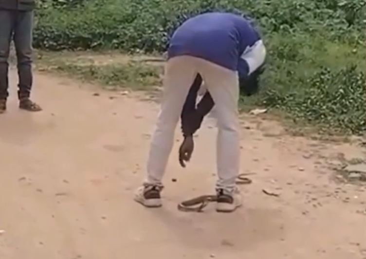 Ảnh cắt từ clip.