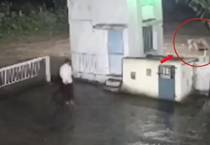 Ảnh cắt từ clip.