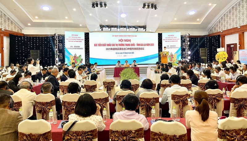 Các chuyên gia chia sẻ thông tin tại hội nghị.