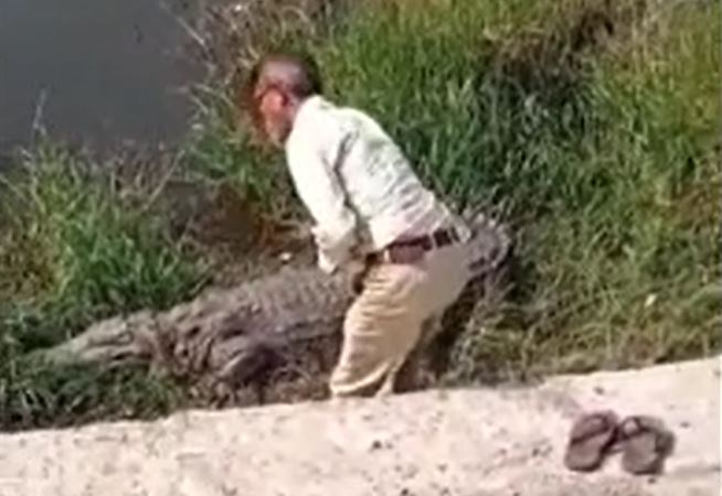 Ảnh cắt từ clip.