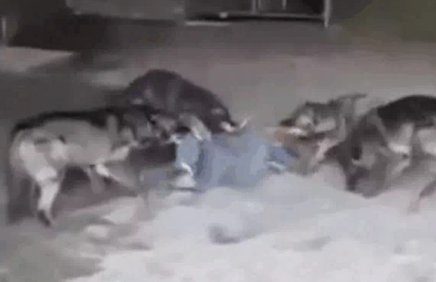 Ảnh cắt từ clip.