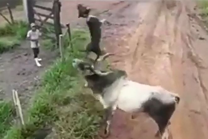 Ảnh cắt từ clip.