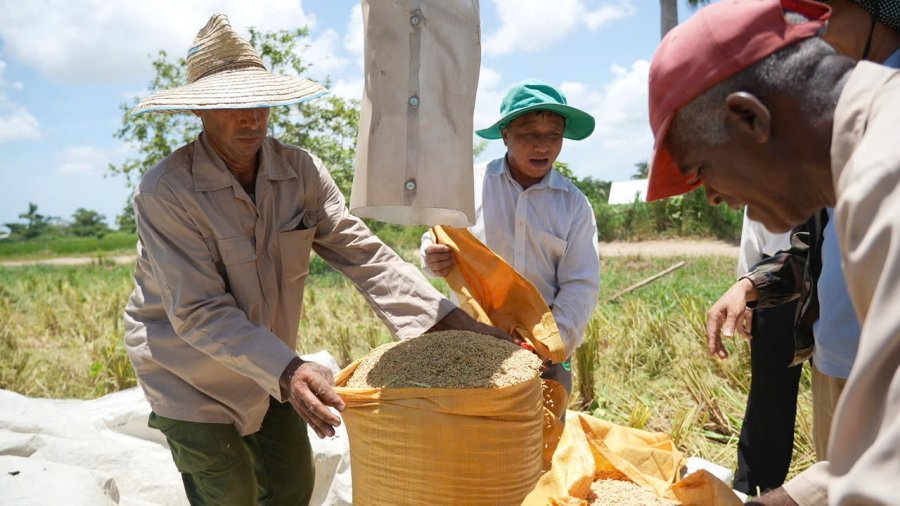Hình ảnh trong phim tư liệu.