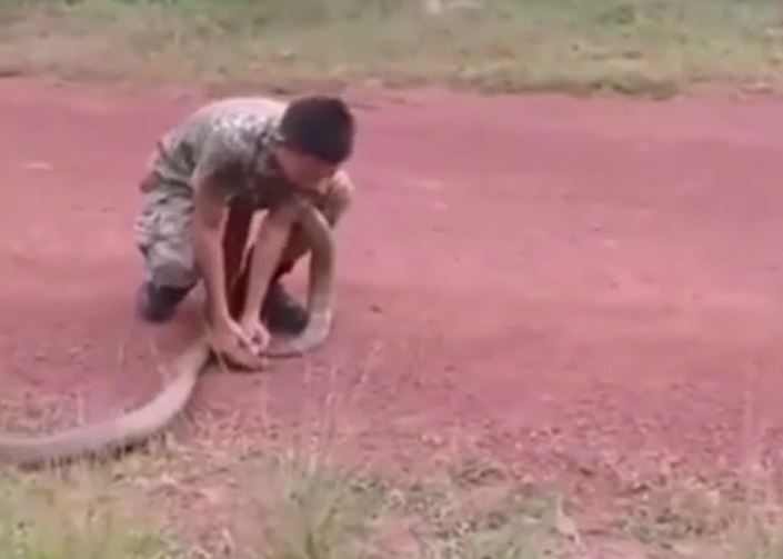 Ảnh cắt từ clip.