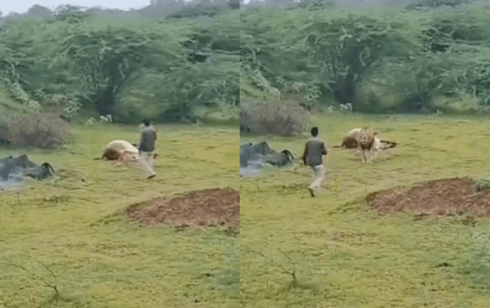 Ảnh cắt từ clip.