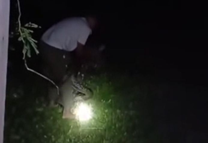 Ảnh cắt từ clip.