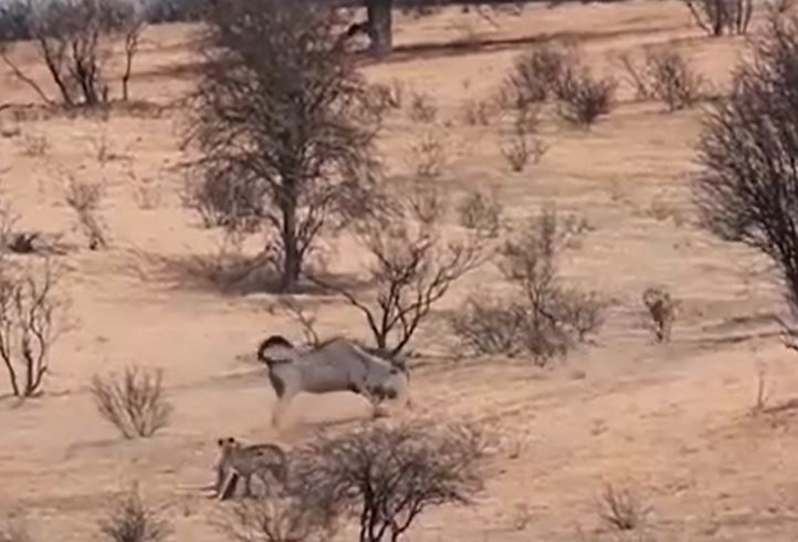 Ảnh cắt từ clip.