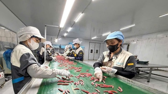 Doanh nghiệp tư nhân đầu tư dây chuyển sản xuất nông sản hiện đại, nâng cao năng suất và gia tăng giá trị sản phẩm phục vụ xuất khẩu. (Ảnh: PV)