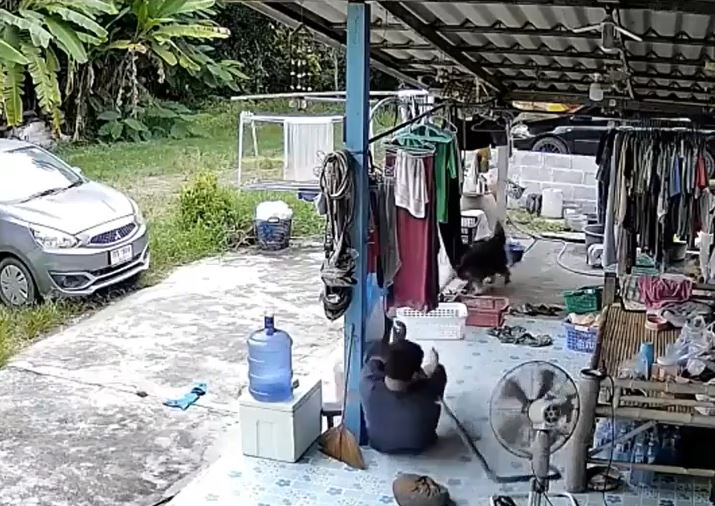 Ảnh cắt từ clip.