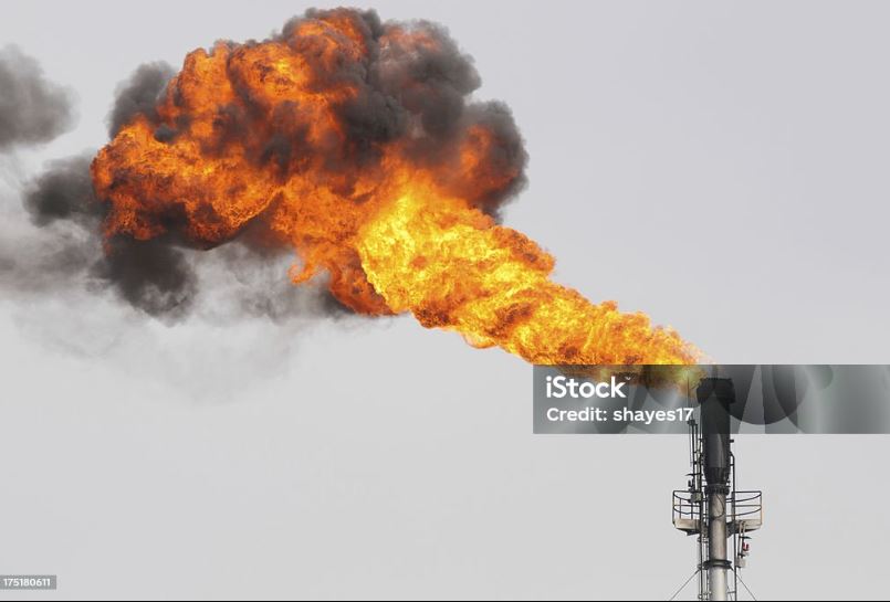 Ảnh minh họa. Nguồn: iStock.